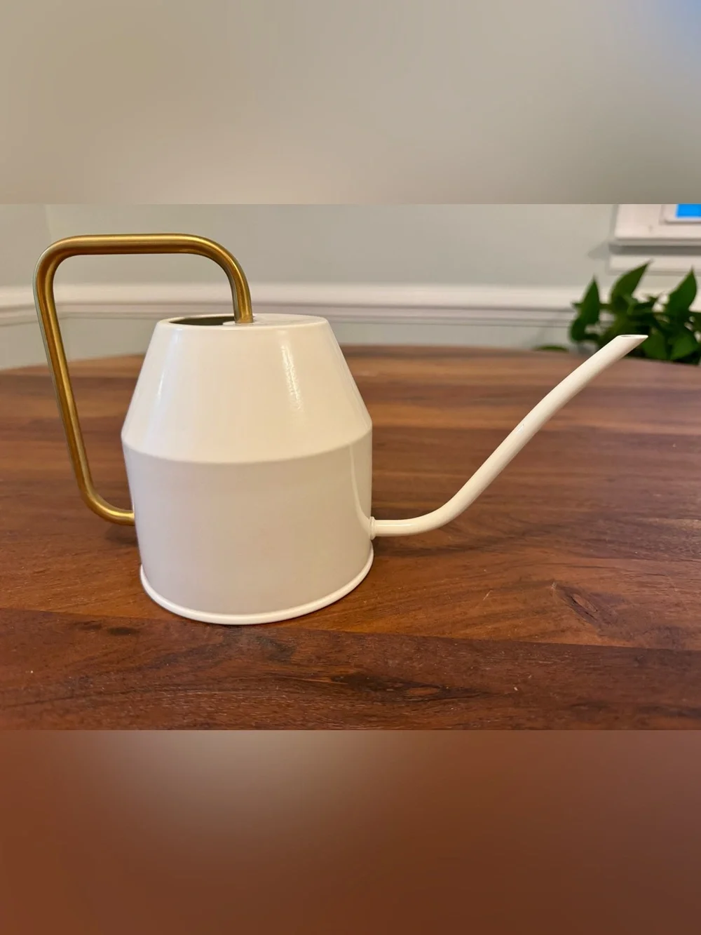 IKEA VATTENKRASSE Plants Watering Can Ivory & Gold Steel 68 oz Modern Home